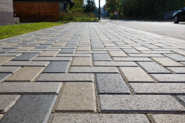 Best Driveway Paving Contractor  in Miami Springs, FL