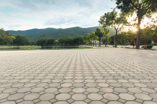Best Brick Driveway Pavers  in Miami Springs, FL